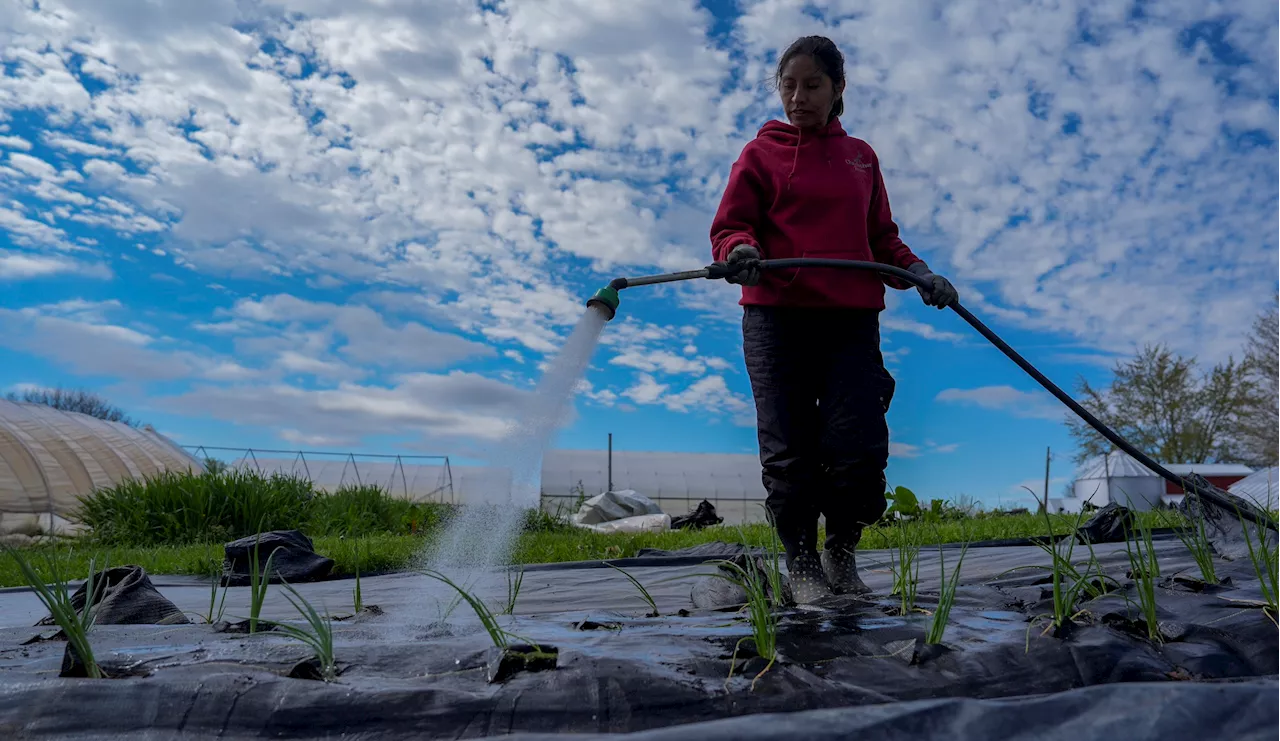 People who eat red meat to pay price for climate change in World Bank report