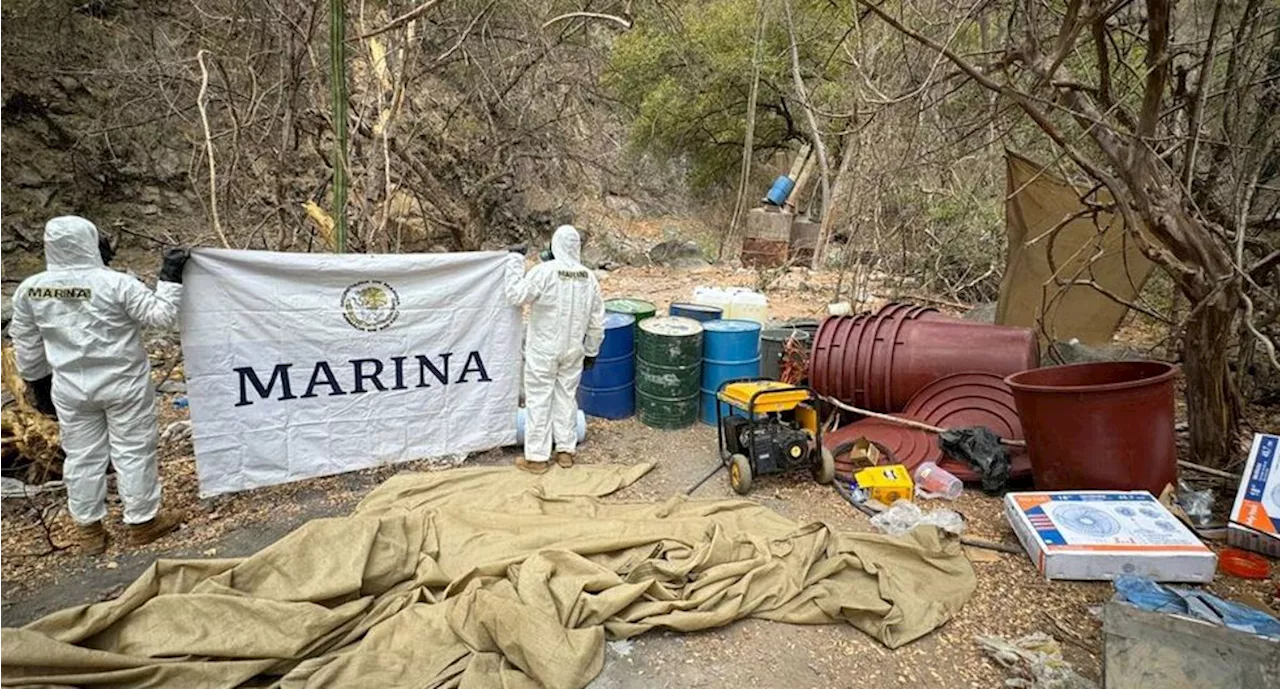 Marina localiza y desmantela ocho laboratorios para la elaboración de drogas sintéticas en Sinaloa