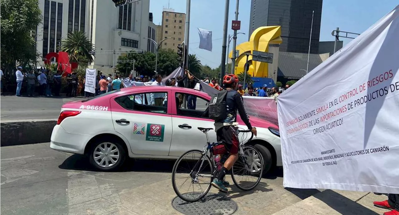 Pescadores y acuacultores bloquean paseo de la Reforma; exigen solución a importación ilegal de camarón y pescado