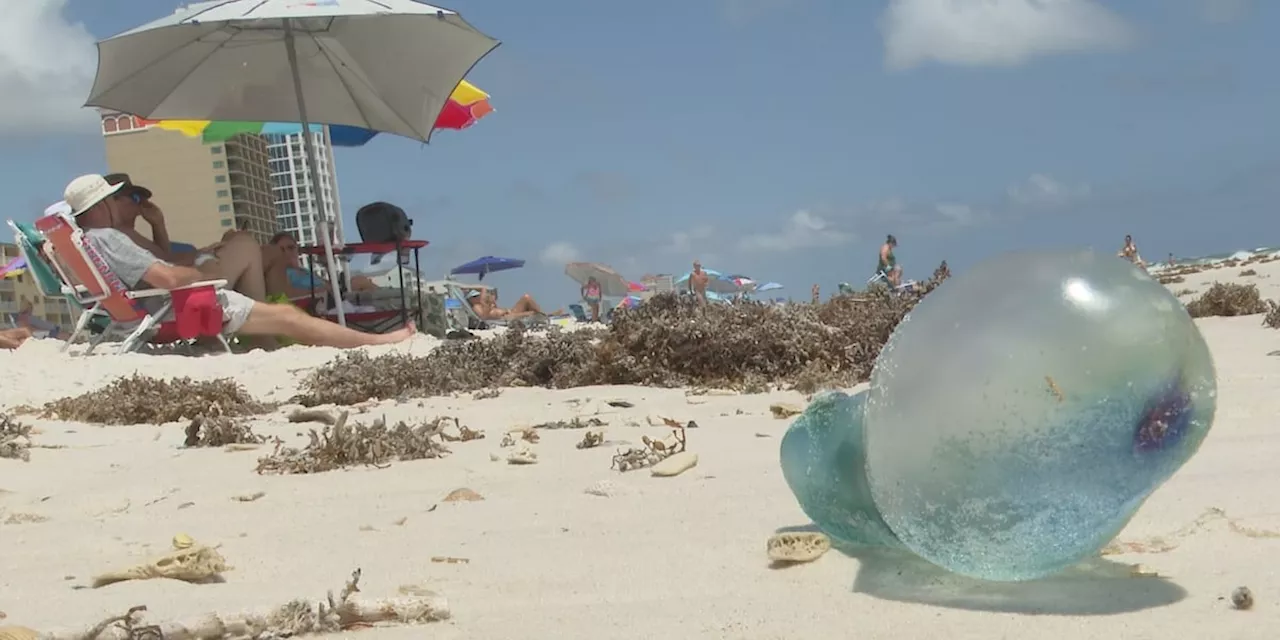 Challenging days ahead for beachgoers in Gulf Shores