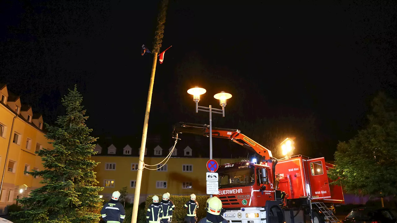 Sturmböen mit 100 km/h – Unwetter-Chaos im ganzen Land