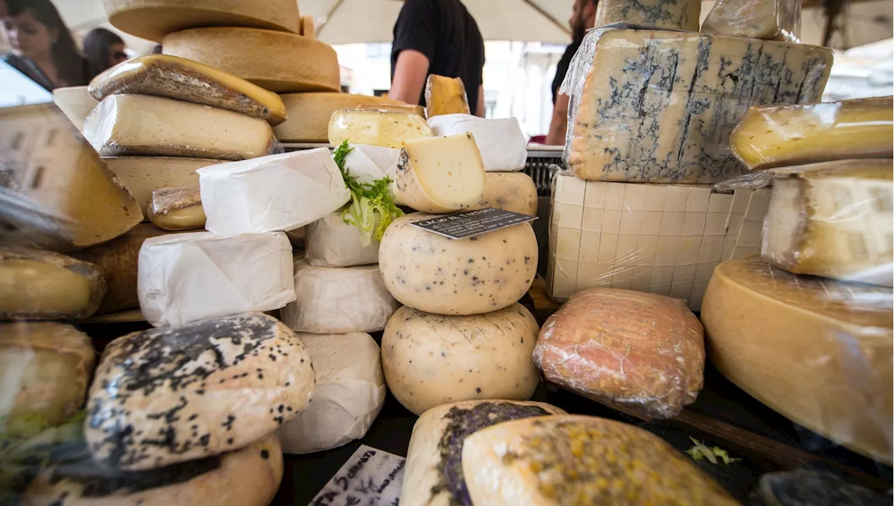 Lollobrigida a Cibus: 'Ecco le linee guida per valorizzare i formaggi al ristorante'