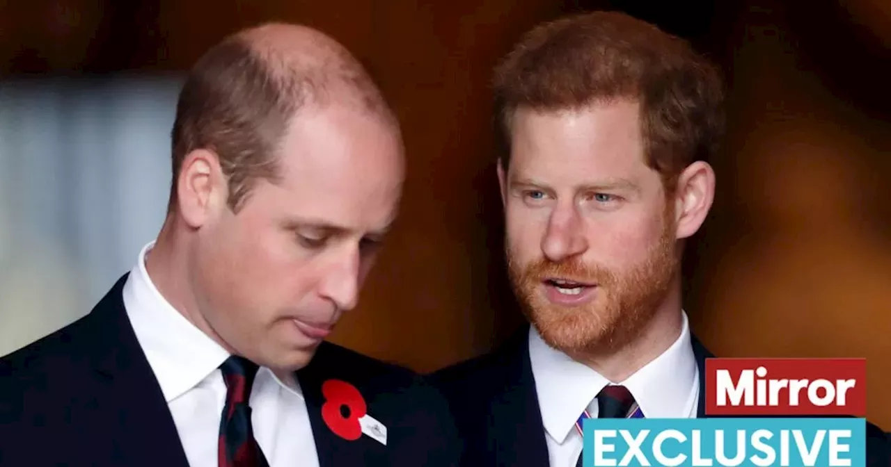 Prince Harry's brother William 'dreading' meeting and 'doing utmost to avoid it'