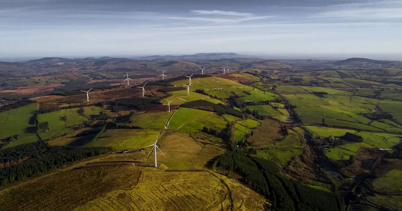 Buddhist retreat centre among objectors to planned Limerick windfarm