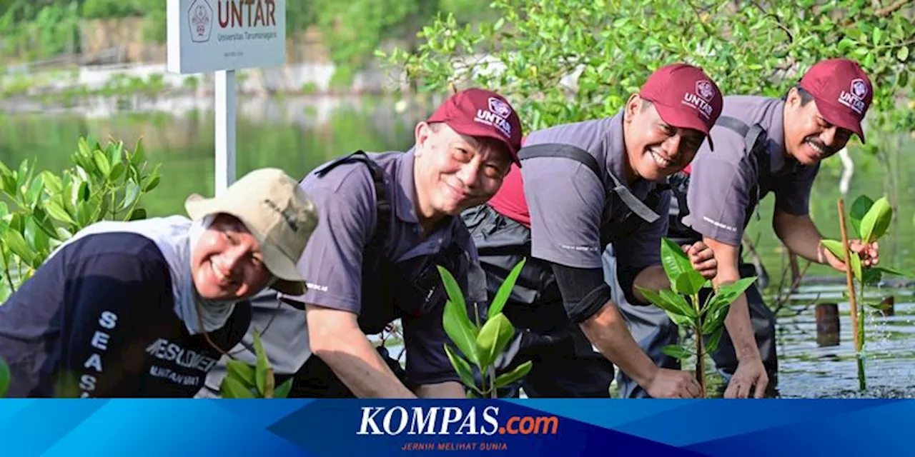 Peduli Lingkungan, Untar 650 Bibit Mangrove dan Bersihkan Sampah Pantai Tanjung Pasir