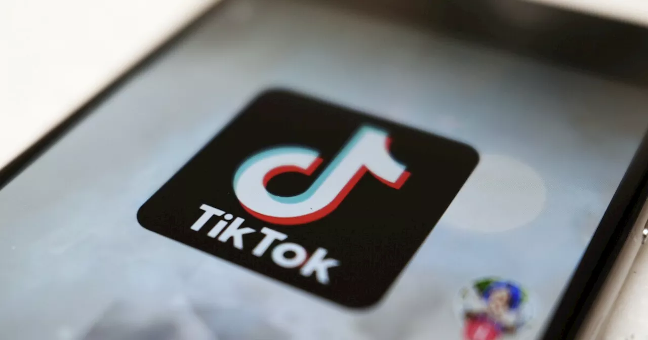 TikTok challenges U.S. ban in court, says it violates the first amendment