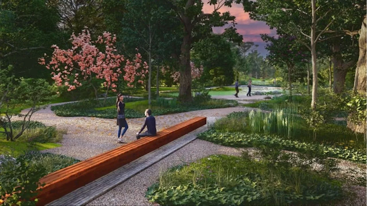 Master planning process to begin on Arboretum San Antonio