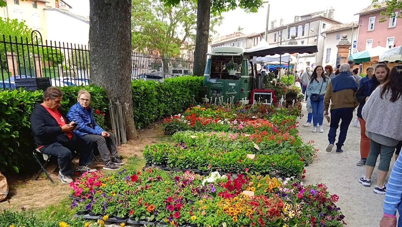 Fleurs, géantes et enfantillages : notre sélection des sorties dans le Tarn cette semaine
