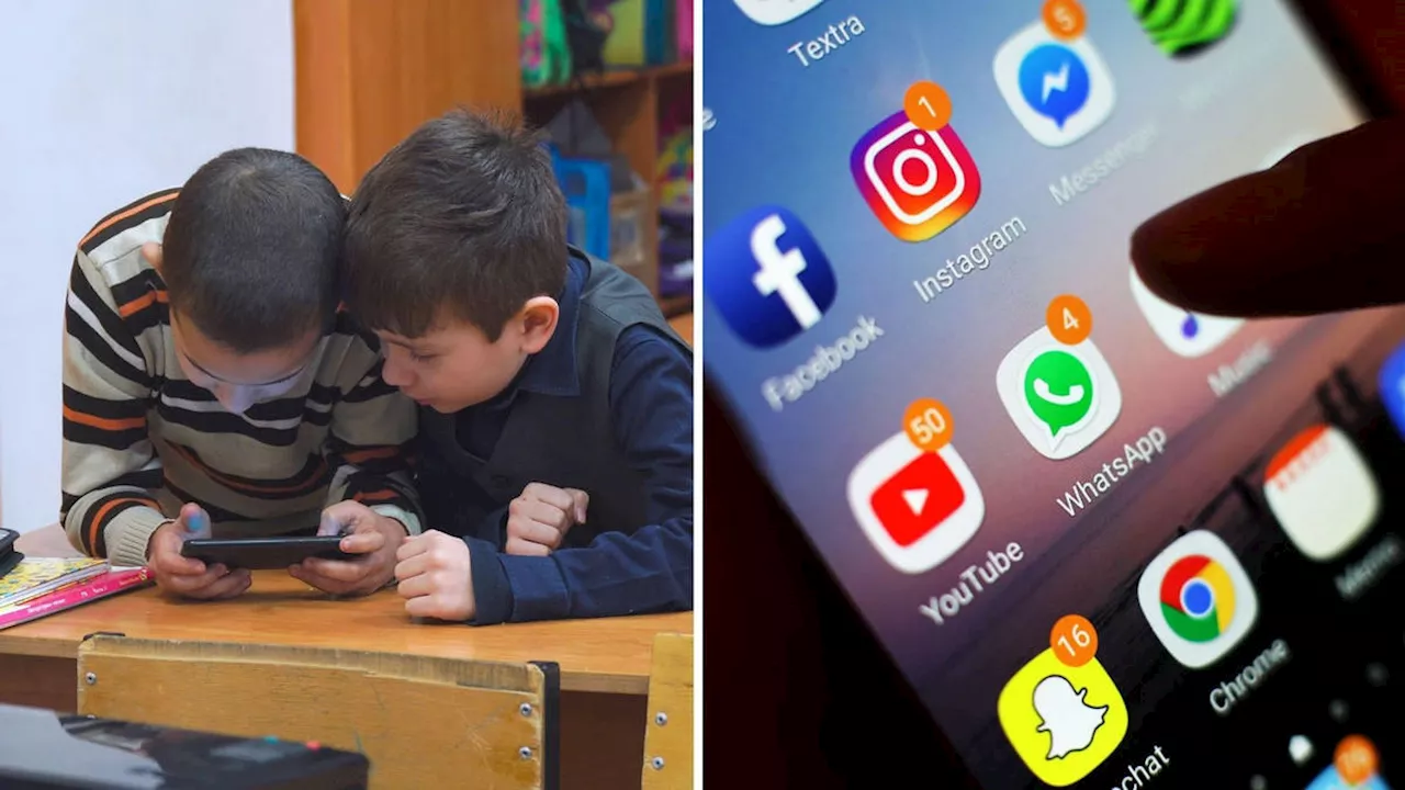 Children must show ID to use social media under new rules to protect kids from harmful content