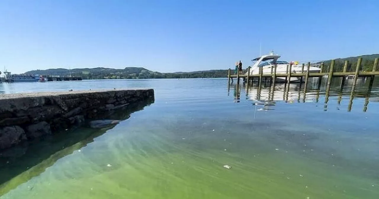 Lake Windermere has turned green due and 'tourism is to blame'