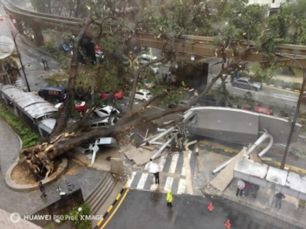 Tree falls on road, monorail track in KL city centre during storm, blocking road traffic and disrupting train service