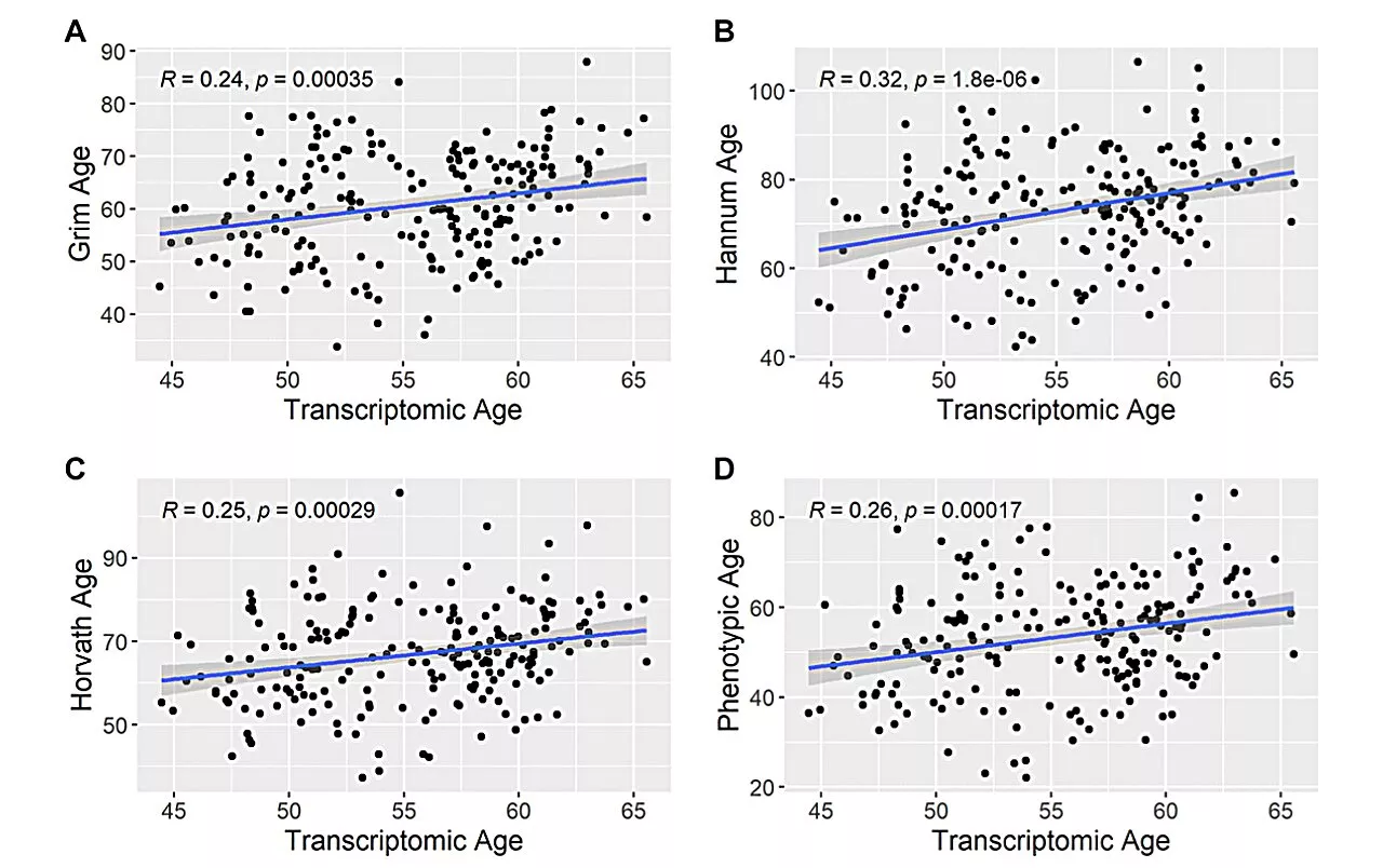 Study reports on inflammatory, metabolic biomarkers and accelerated aging in cardiac catheterization patients