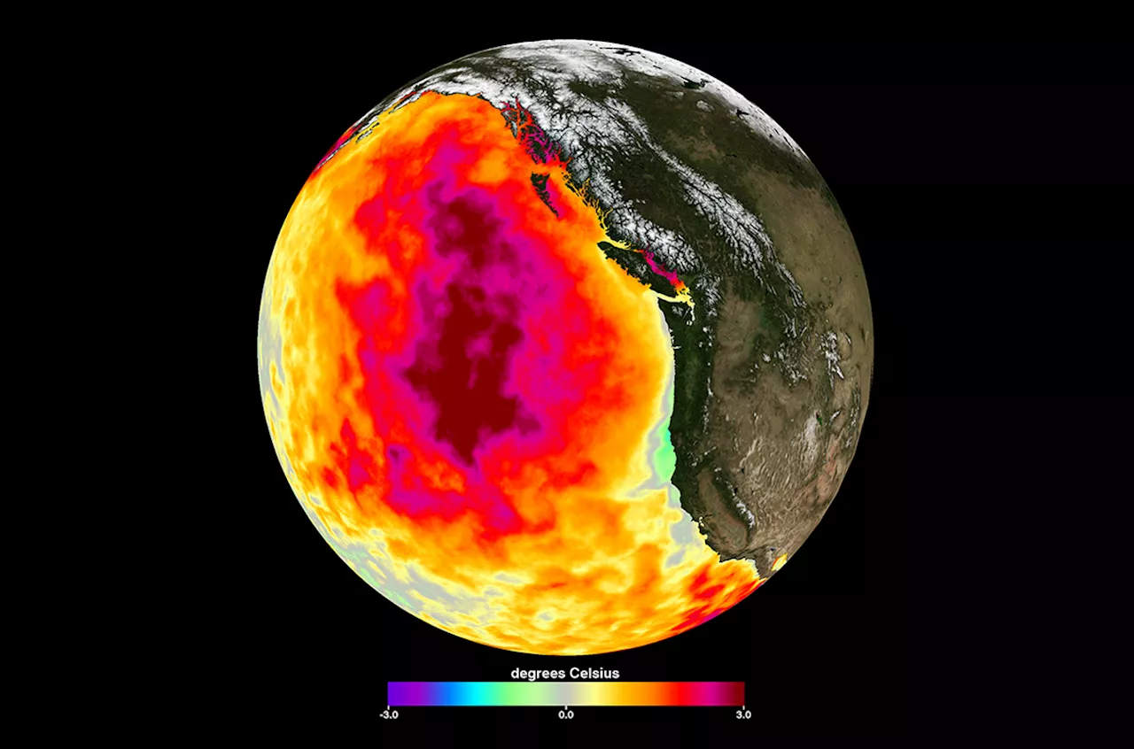 Deadly Pacific ‘blobs’ tied to emission cuts in China