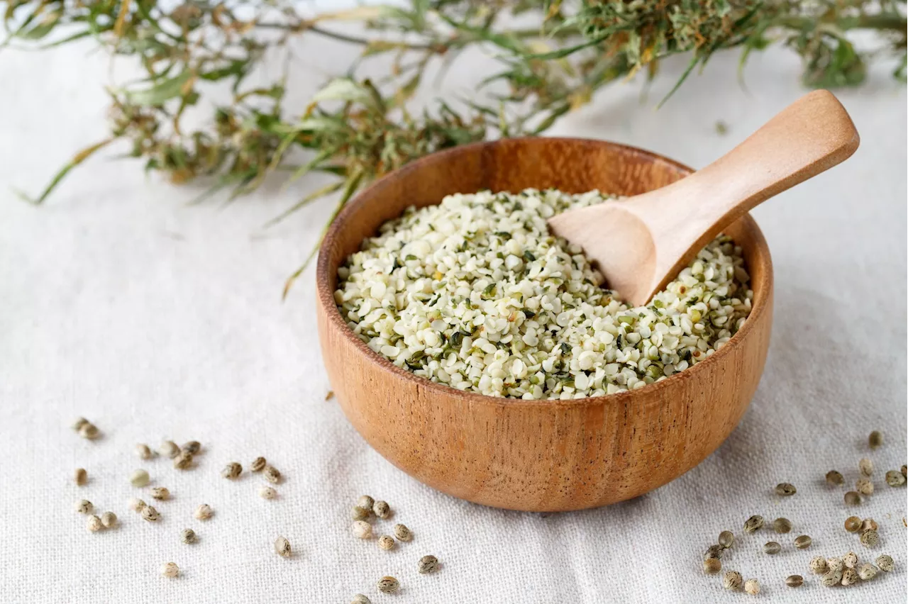 Hemp seed protein shows promise in lowering blood pressure