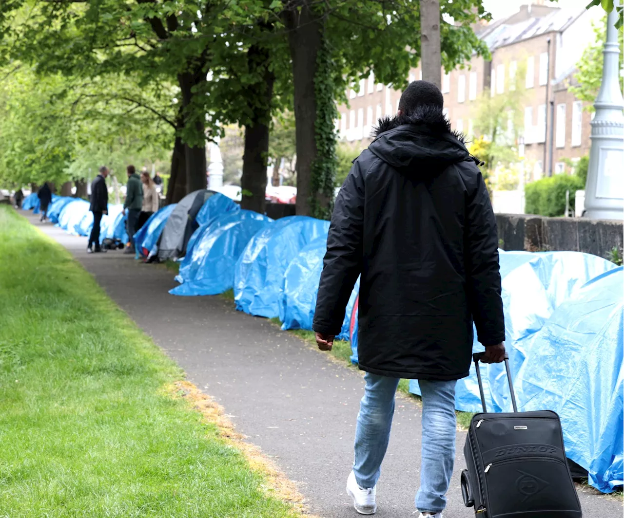 'Somebody needs to grab this issue by the neck' - How to deal with Dublin tents