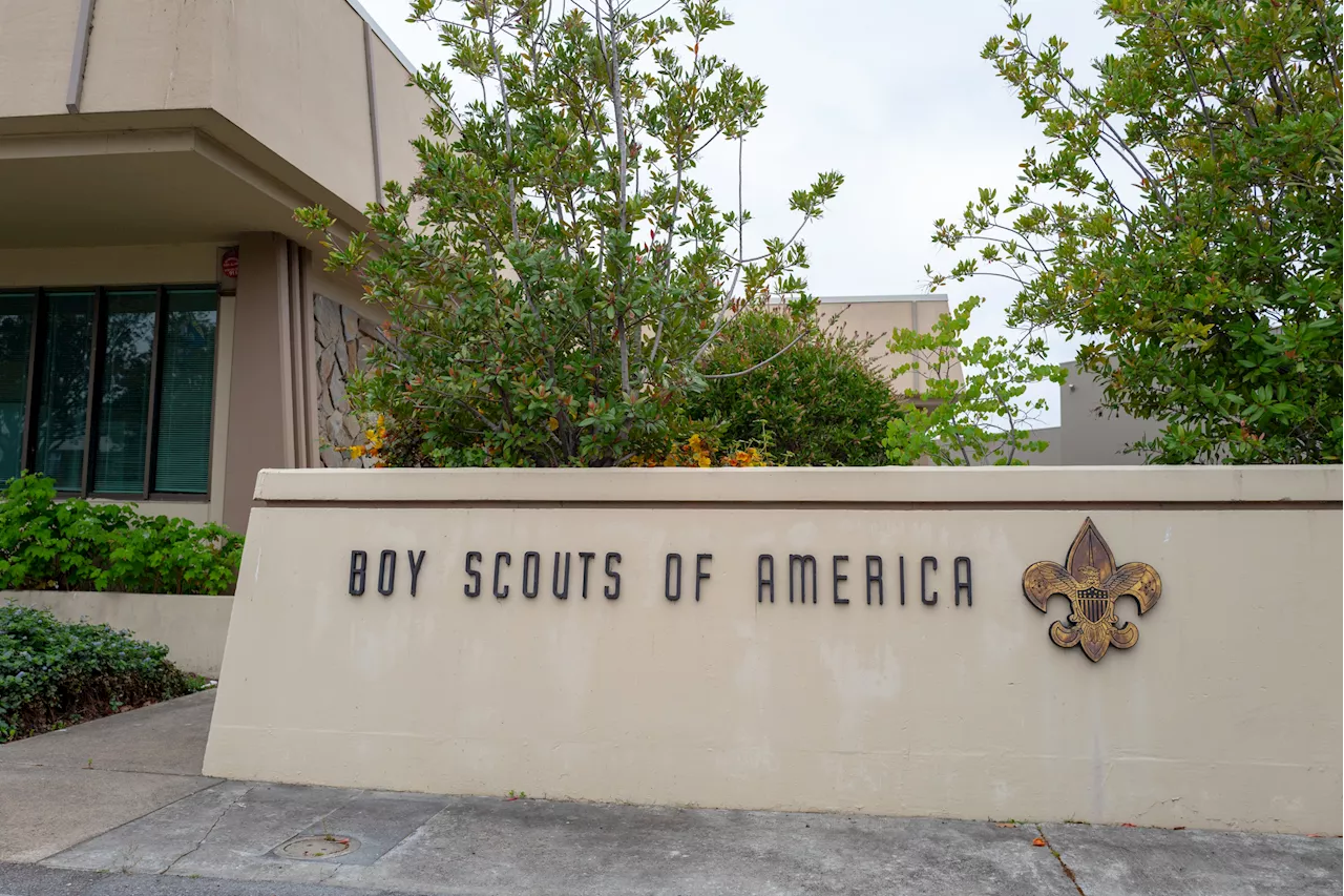 Boy Scouts Name Change Sparks Fierce Backlash: 'Destroyed by Wokeness'