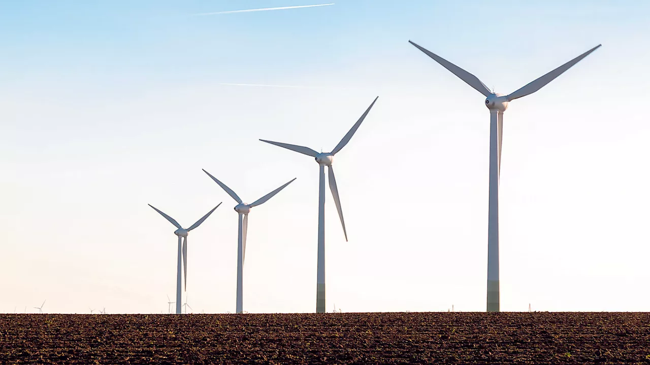 Bevölkerung in Staatz gegen Windpark