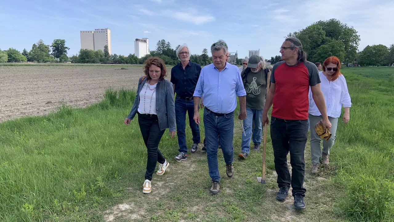 Vizekanzler Werner Kogler unterstützt die Gegner der Ostumfahrung