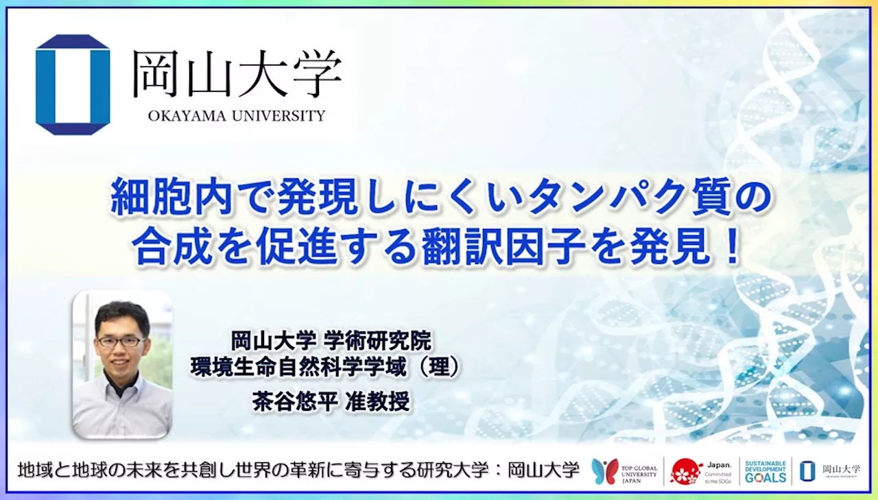 【岡山大学】細胞内で発現しにくいタンパク質の合成を促進する翻訳因子を発見！