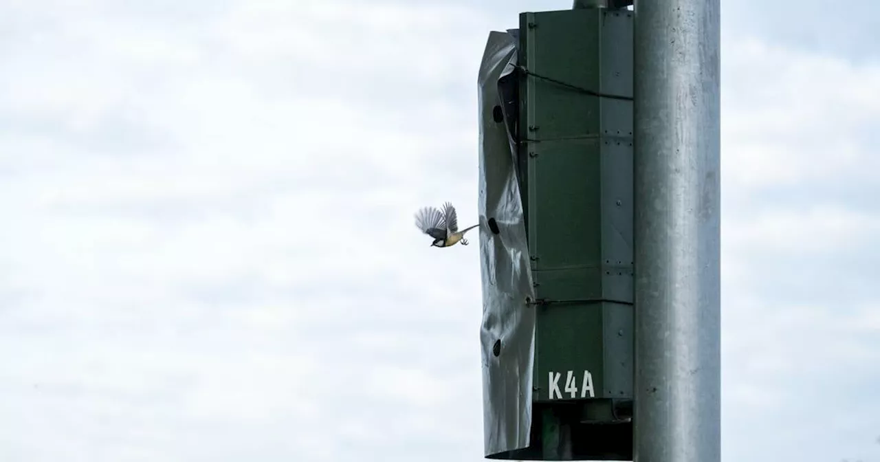 Vogel baut Nest an Ampel zwischen Korschenbroich und Mönchengladbach