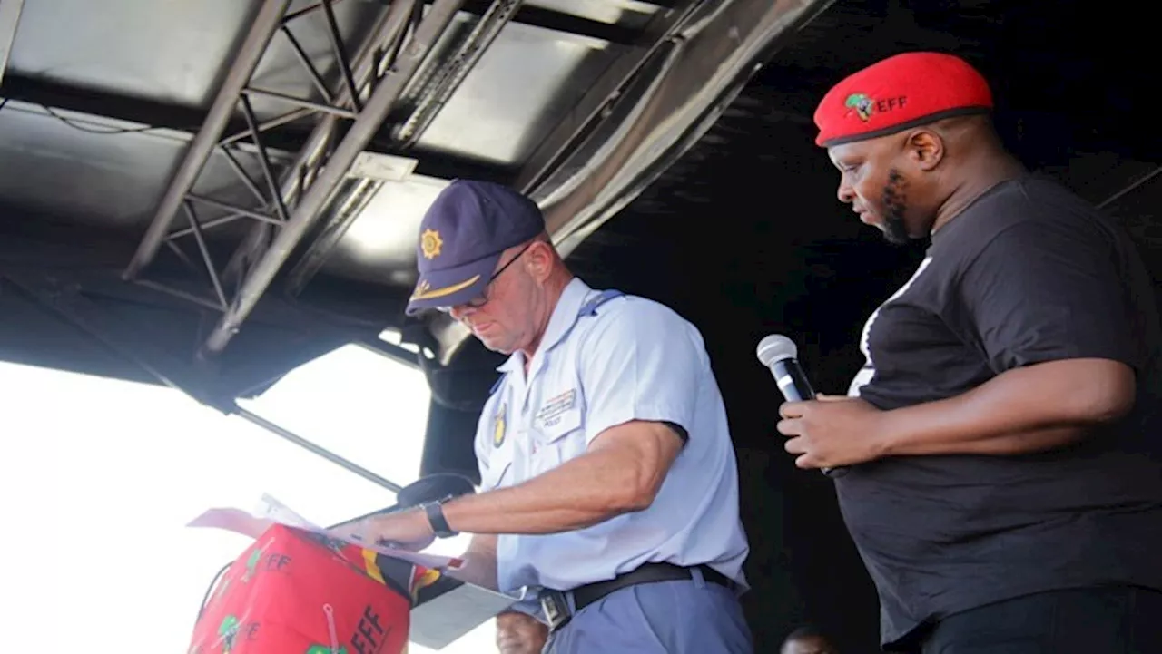 Shivambu calls for more police visibility in Nelson Mandela Bay - SABC News