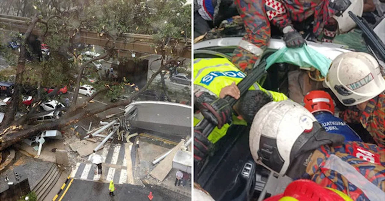 1 Dead & 1 Injured After Large Tree Falls On Jalan Sultan Ismail