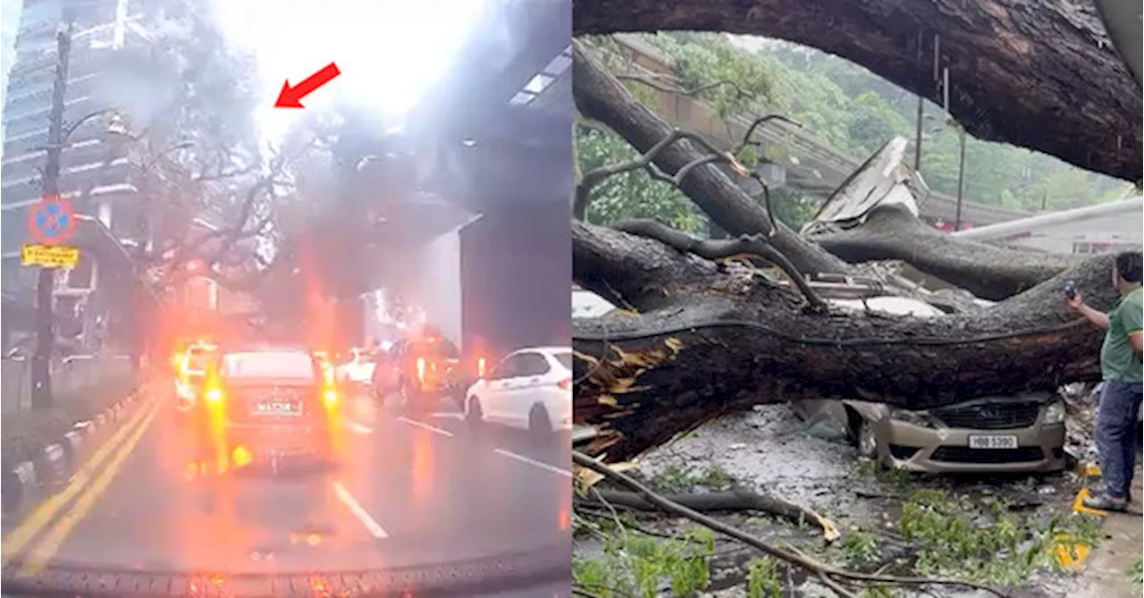 Dashcam Video Shows The Moment Large Tree Falls Onto Cars & Monorail Tracks In KL