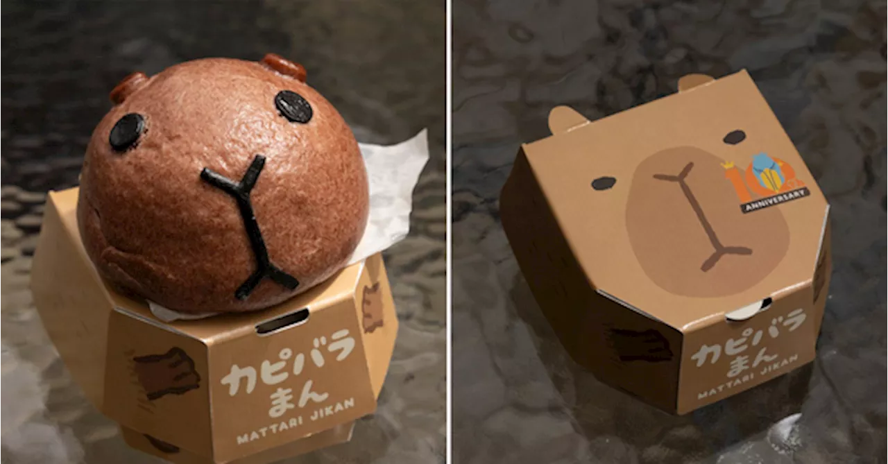 Japan Animal Park Makes Cute 'Capybara' Meat Buns