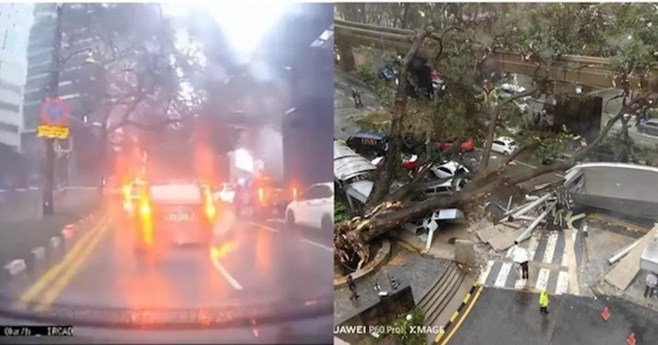 Rakaman 'Dashcam' Detik Pokok Besar Tumbang Hempap Landasan Monorel & Kereta Di KL