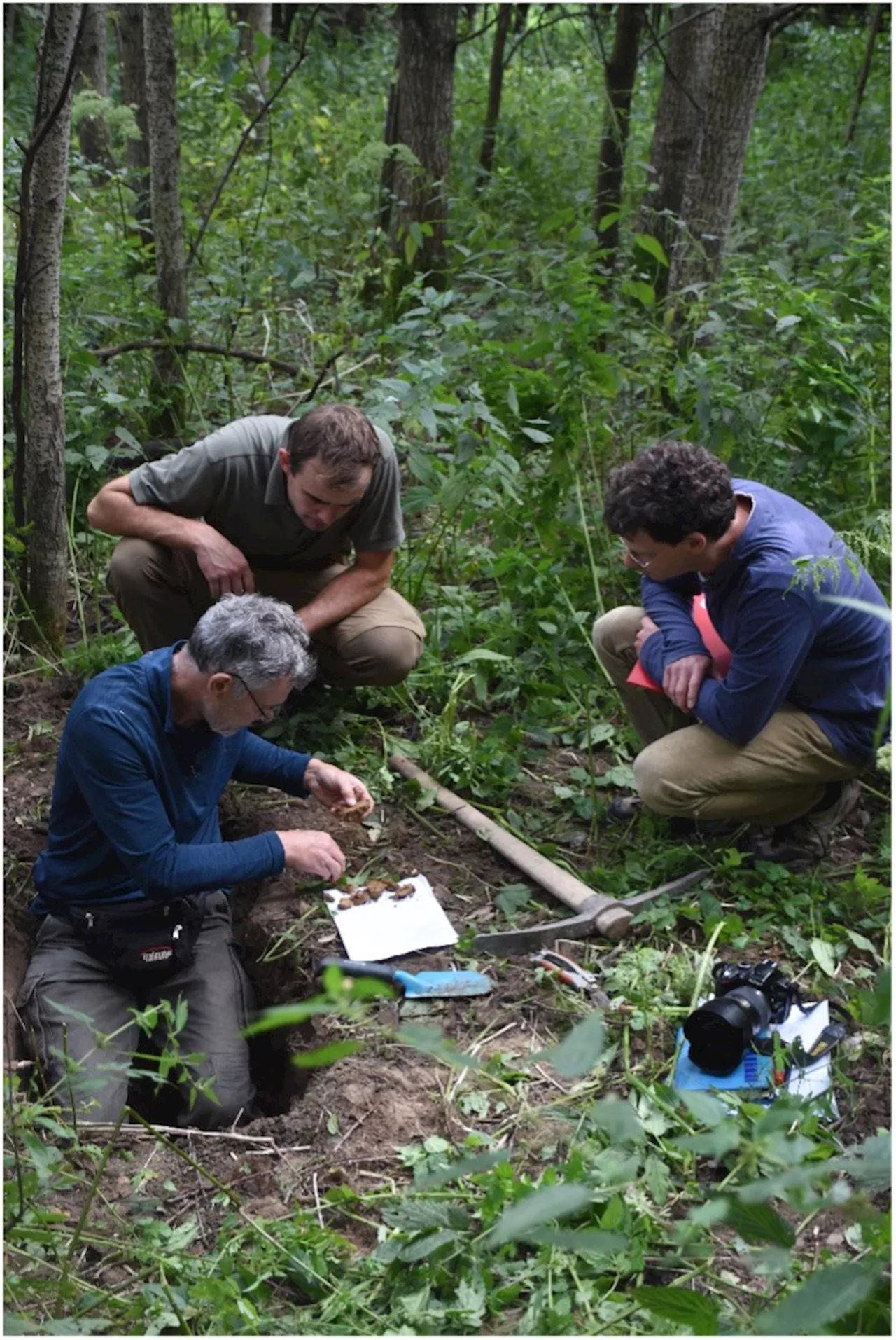 Europe’s Forgotten Forests – Scientists Uncover Potential “Biodiversity Hot Spots”