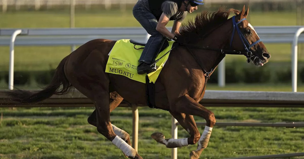 Mystik Dan, ganador del Derby, sigue en duda para el Preakness