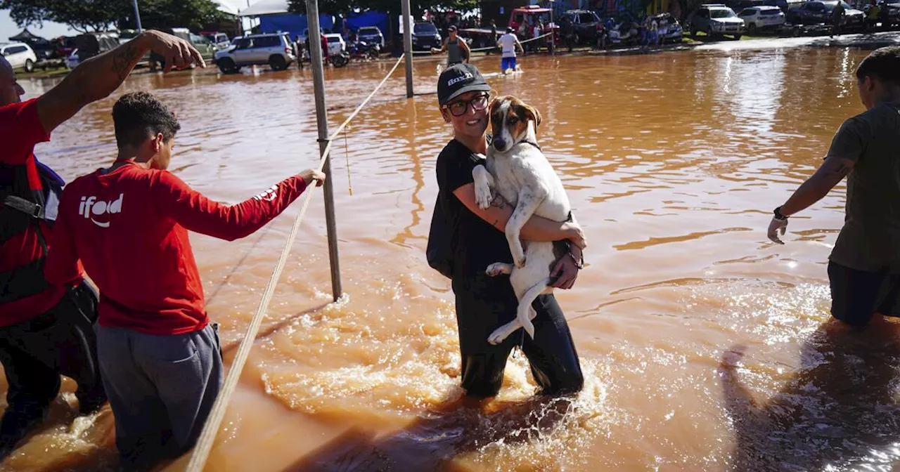 Too much water, and not enough: Brazil's flooded south struggles to find basic goods