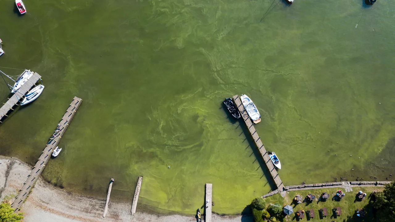 Tourist numbers turning Lake Windermere green, researchers say