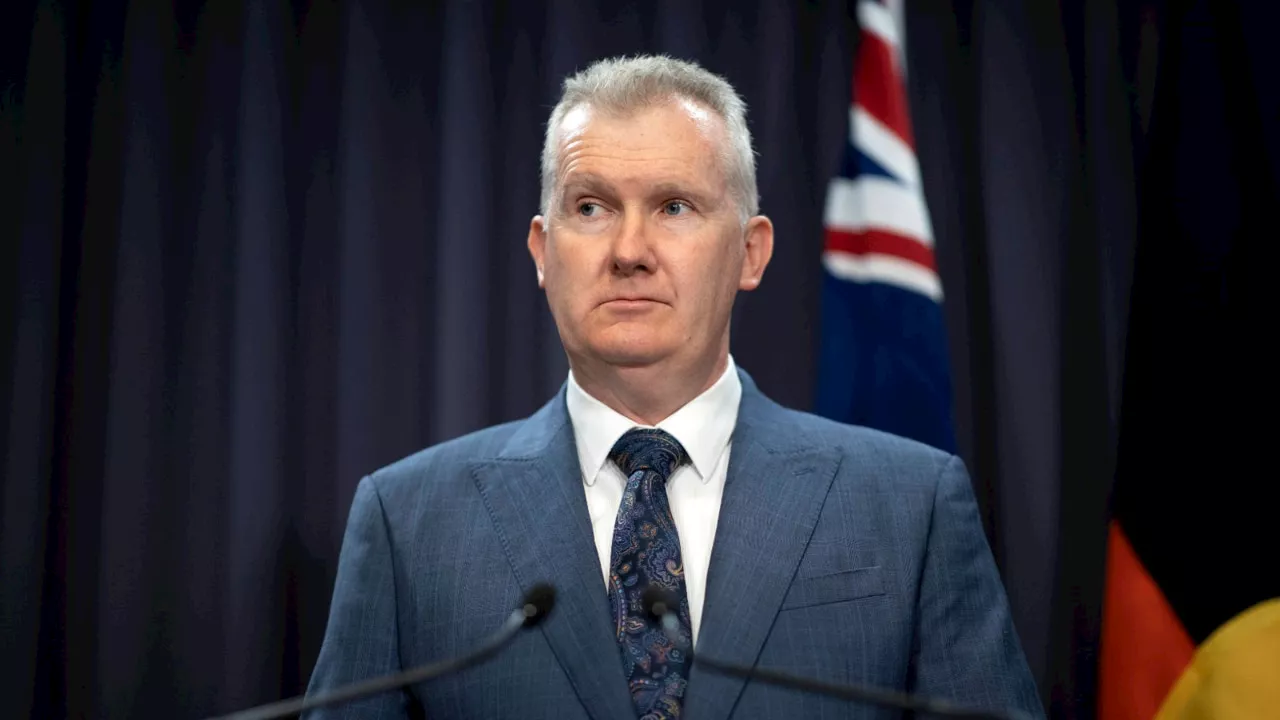 ‘Double standards’: Sky News host calls out Tony Burke over anti-Israel university protests