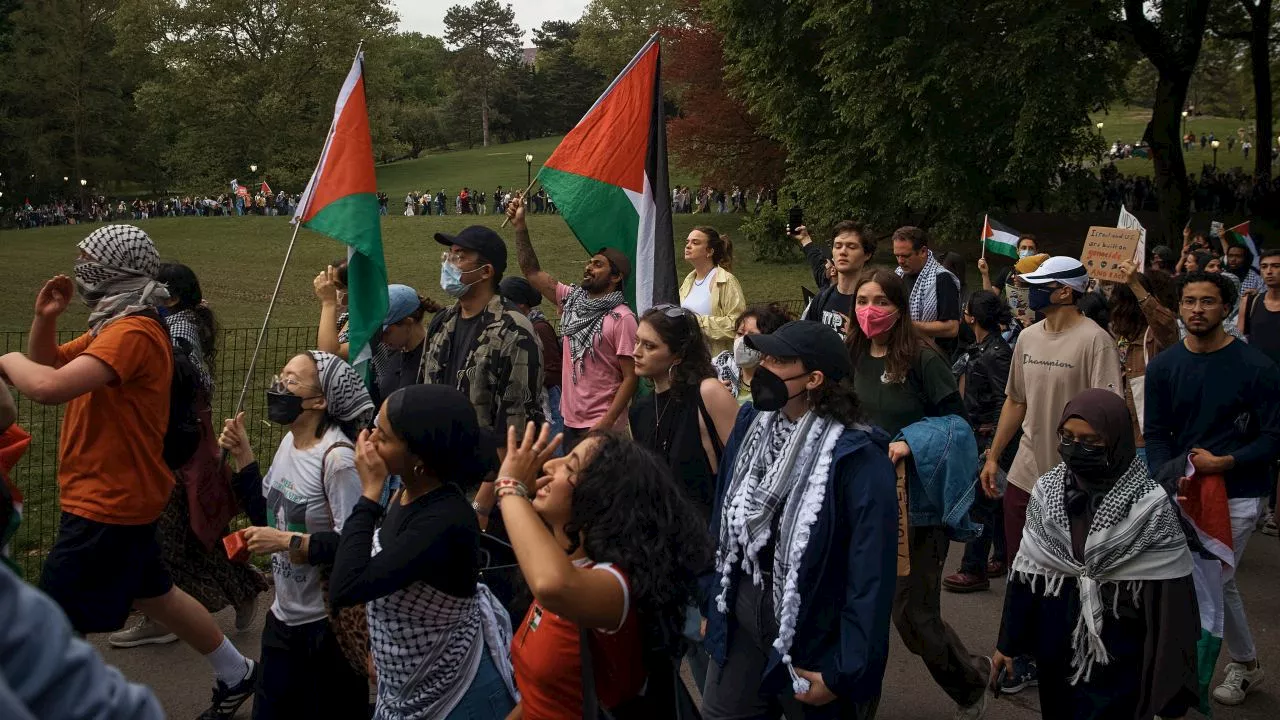 Wild scenes as pro-Palestine protesters march towards celebrity-packed charity event