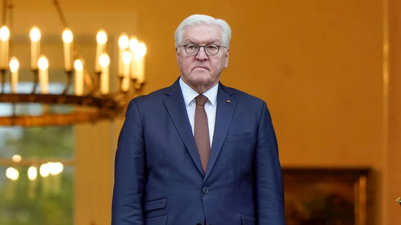 Ist Frank-Walter Steinmeier der falsche Bundespräsident?