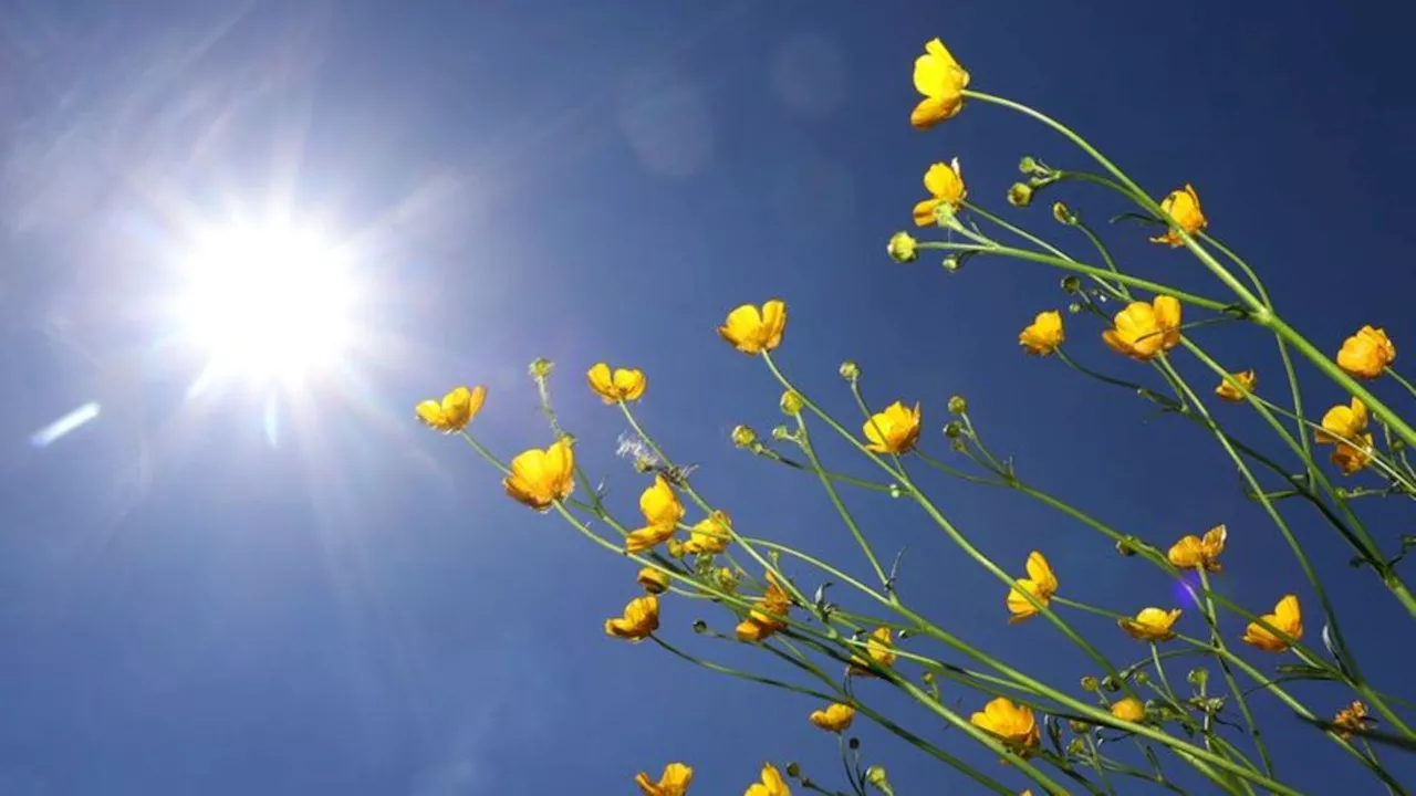 Wetter: Freundliches Wetter zum Himmelfahrtswochenende