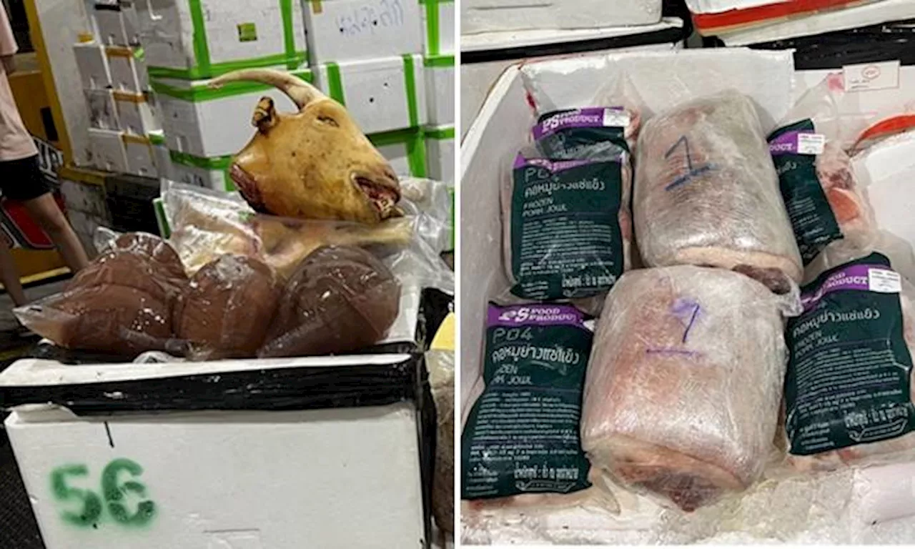 Container vehicle in Mandai found to have 6.3 tonnes of illegally imported Thai meat products