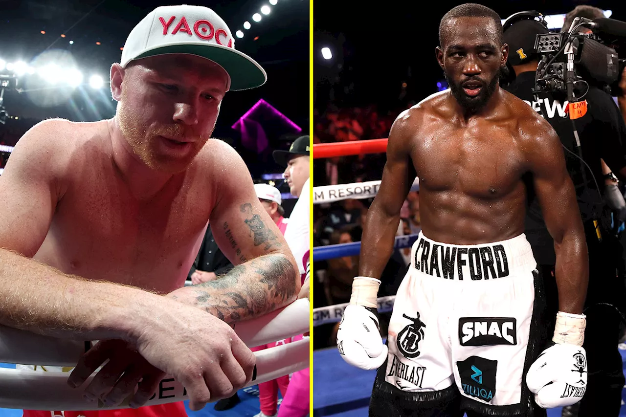 – Terence Crawford warned Canelo Alvarez fight could be step too far after da...