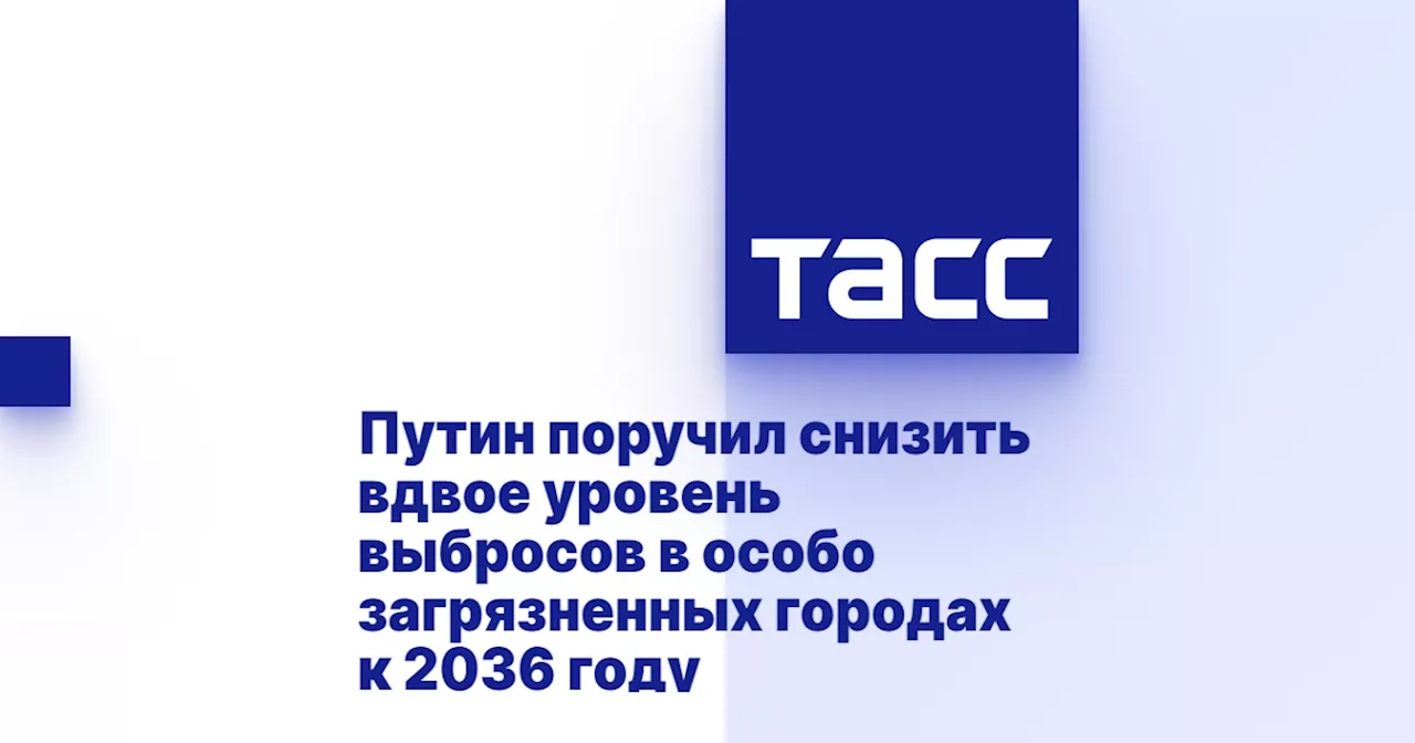 Путин поручил снизить вдвое уровень выбросов в особо загрязненных городах к 2036 году