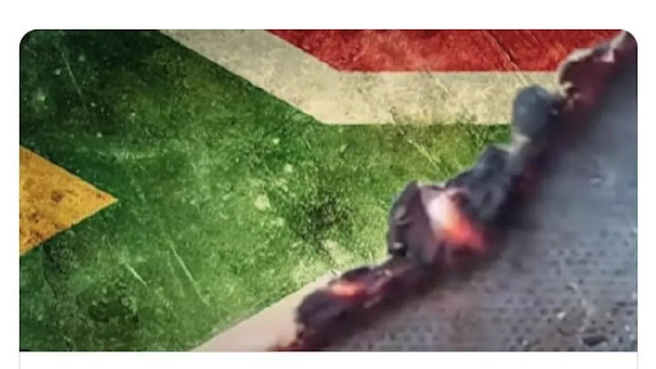 WATCH: Ramaphosa calls DA’s burning flag ad ‘treasonous’ and ‘totally unacceptable’