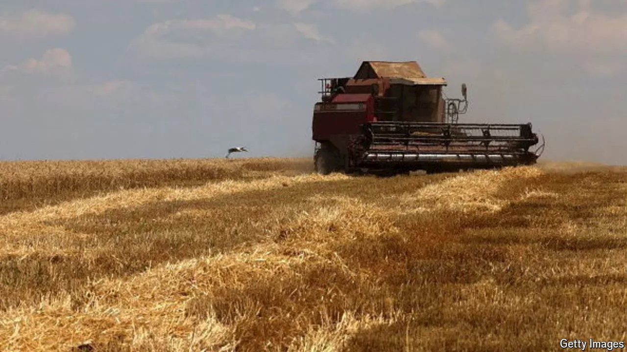 How Ukrainians are using the cover of war to escape taxes
