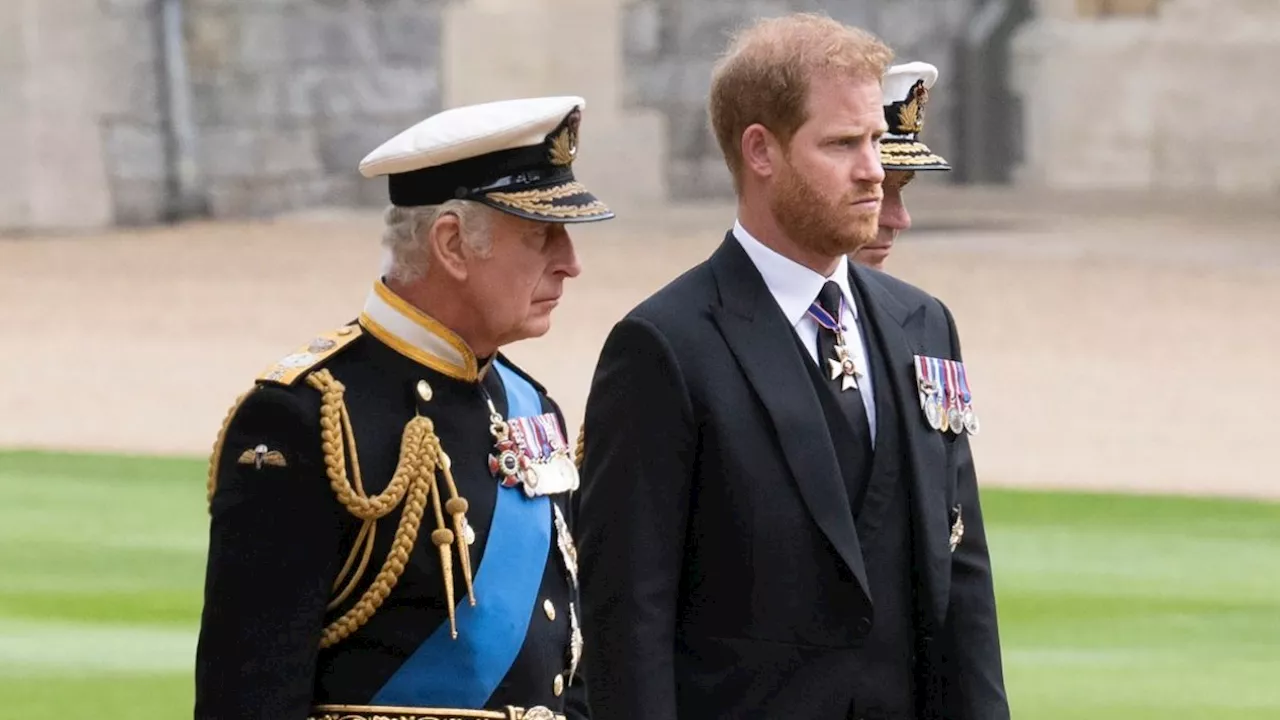 Prince Harry will not meet King Charles this week during UK visit