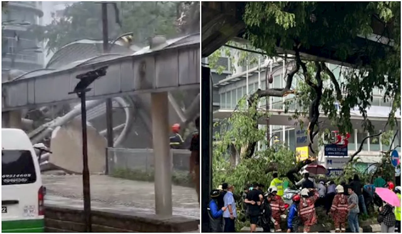 [Video] Pokok Besar Tumbang Di Jalan Sultan Ismail, Berhadapan Hotel Concorde KL