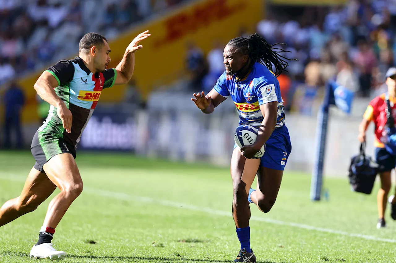 Stormers, Blitzboks star set for sensational comeback