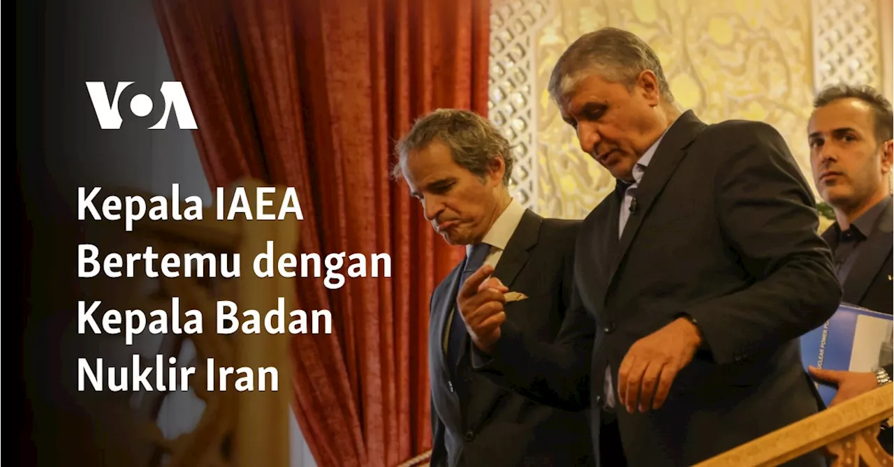 Kepala IAEA Bertemu dengan Kepala Badan Nuklir Iran