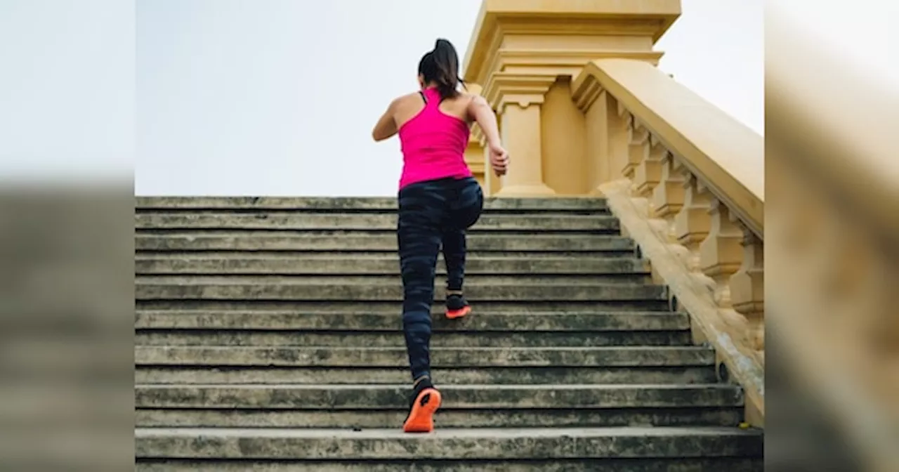 Climbing Stairs: क्या सीढ़ियां चढ़ना है आपकी लंबी उम्र का सीक्रेट? जानिए चौंकाने वाले रिसर्च के नतीजे