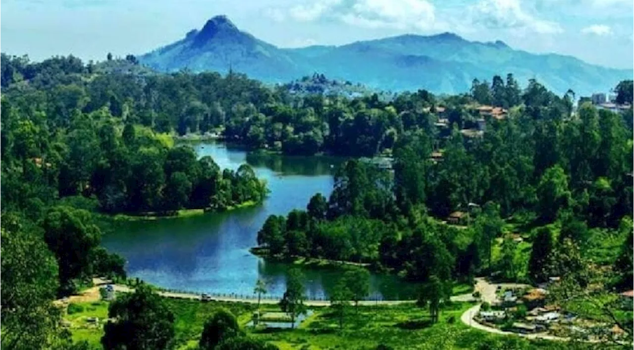 Ooty-Kodaikanal Tour: ఇక ఊటీ, కొడైకెనాల్ వెళ్లాలంటే అనుమతి ఉండాల్సిందే, ఎవరిస్తారు, ఎలా తీసుకోవాలి