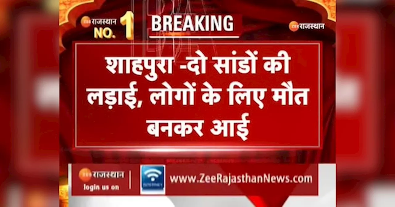 Rajasthan News: 2 सांड लड़ाई करते-करते कुएं में गिरे, बचाने उतरे 3 युवकों की मौत और दो घायल