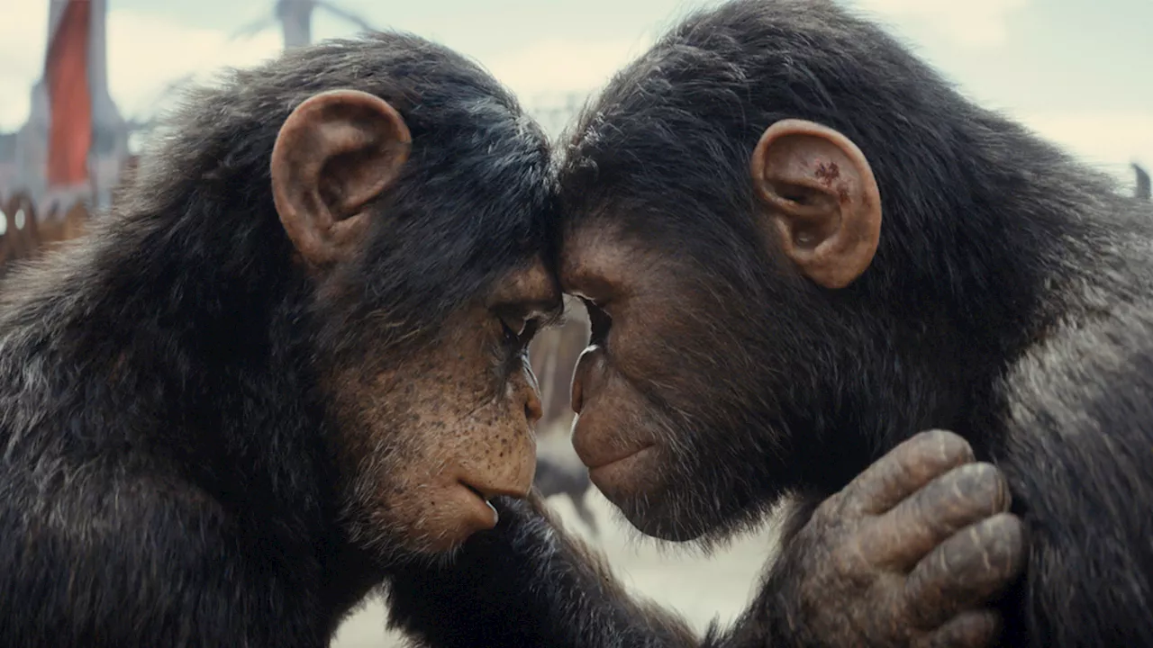 'Kingdom of the Planet of the Apes' actor says character is 'metaphor for evolution'